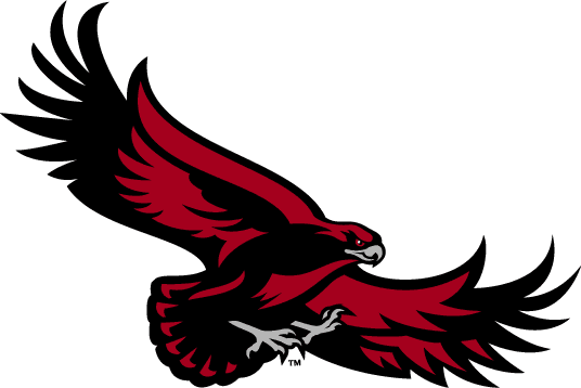 St. Joseph's Hawks 2001-Pres Alternate Logo v4 diy iron on heat transfer
